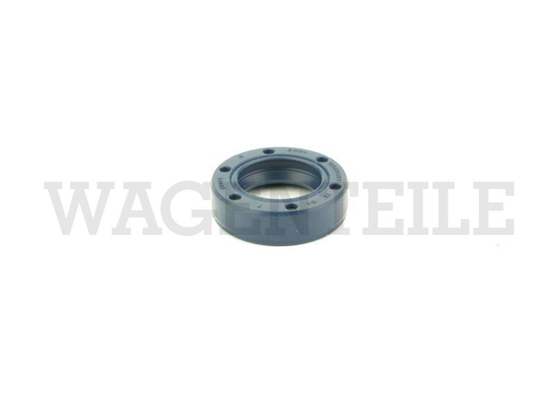 Wellendichtring Schaltwelle