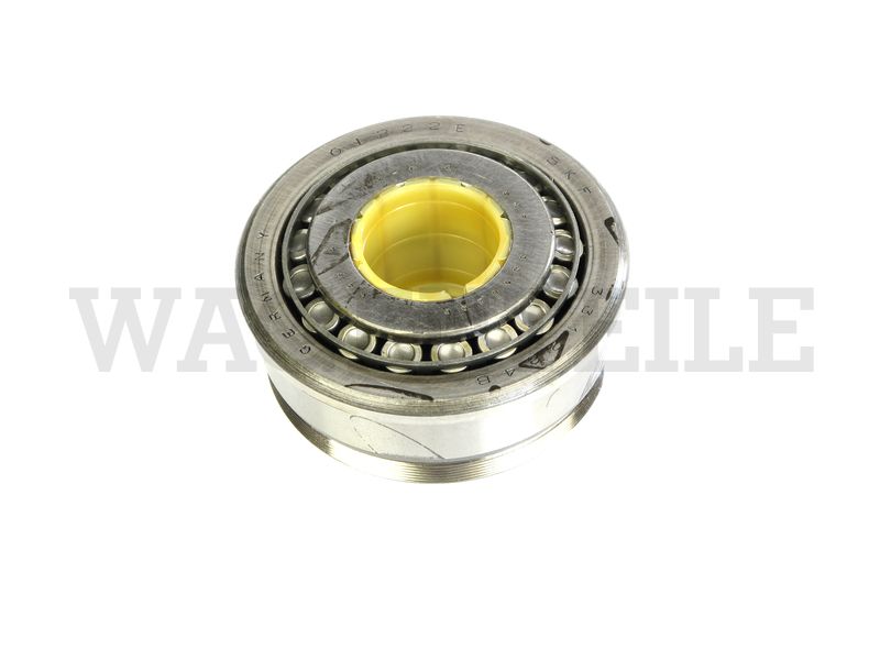 Doppel-Kegelrollenlager Triebling (001)