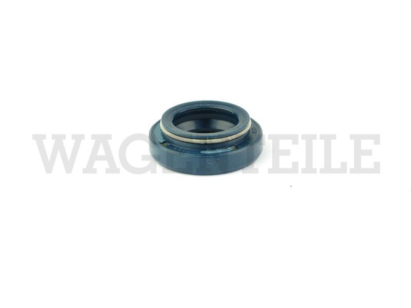 Wellendichtring Schaltwelle