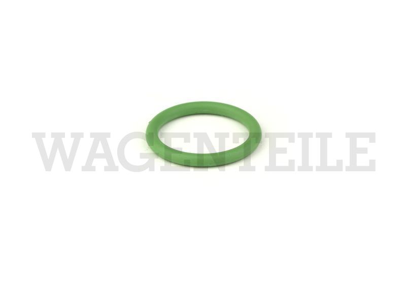 Dichtring Stößelschutzrohr (grün 25,1mm)