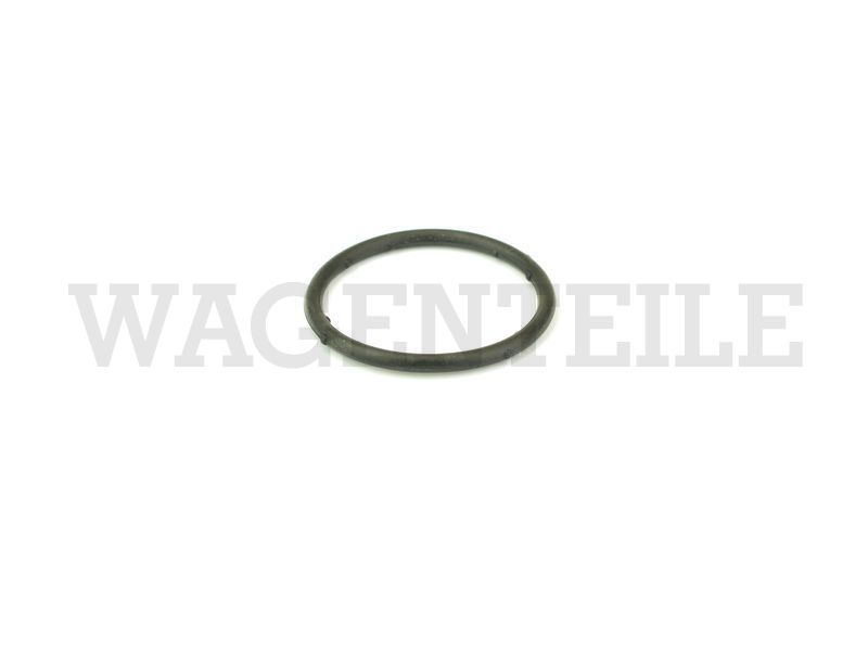 Dichtring O-Ring Kunststoff-Flansche an Zylinderkopf