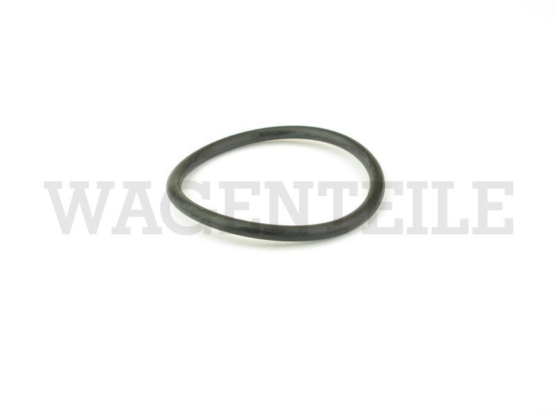 Dichtring O-Ring Wasserpumpe