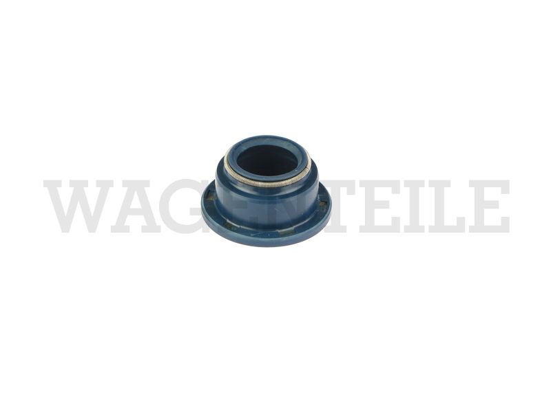 Dichtring Schaltwelle