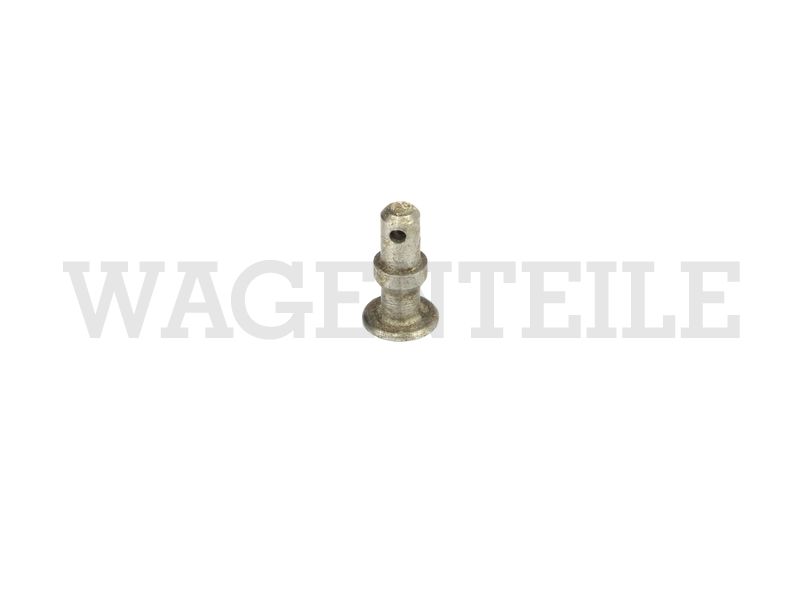 Lagerbolzen – Angebot von Wagenteile