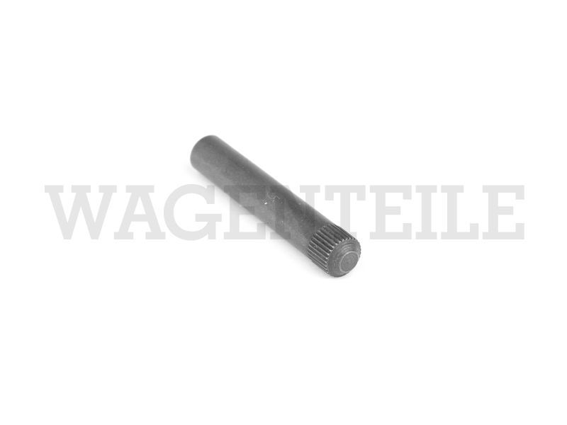 Scharnierbolzen Türscharnier – Angebot von Wagenteile
