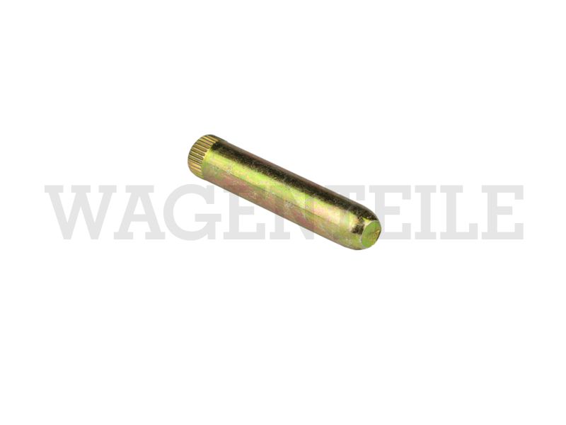 Scharnierbolzen Türscharnier (8mm) – Angebot von Wagenteile