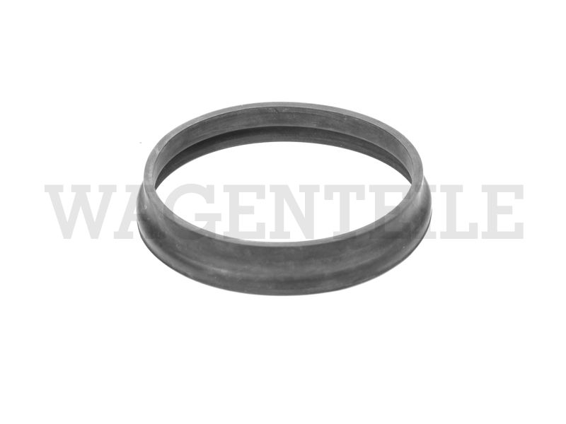 Dichtring Lichtmaschine Typ3 (90mm)