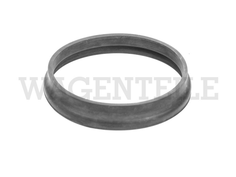Dichtring Lichtmaschine Typ3 (105mm) – Angebot von Wagenteile
