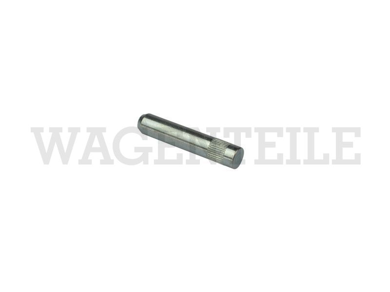 Scharnierbolzen Türscharnier – Angebot von Wagenteile