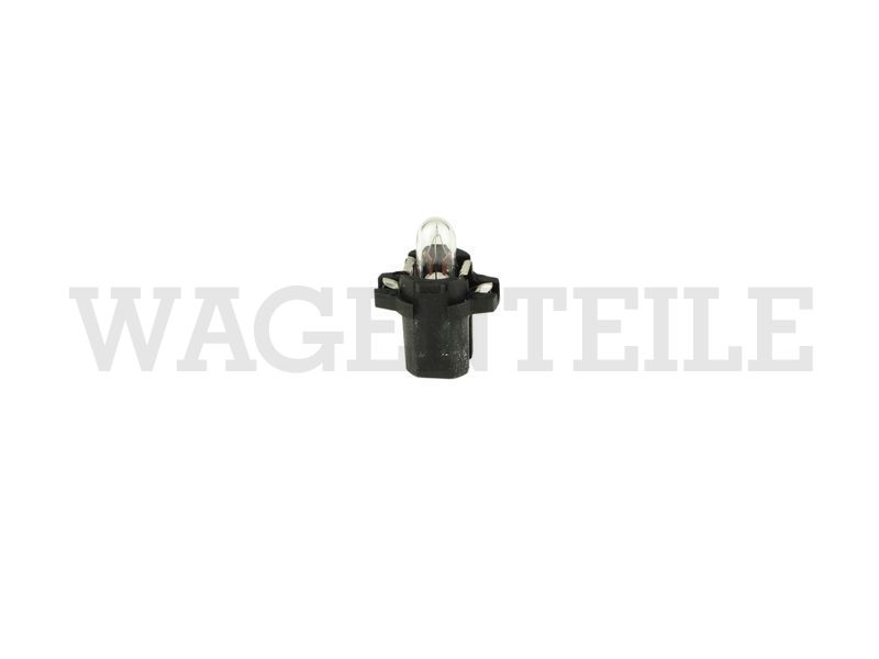 Glassockellämpchen mit Halterung 12V 1,2W