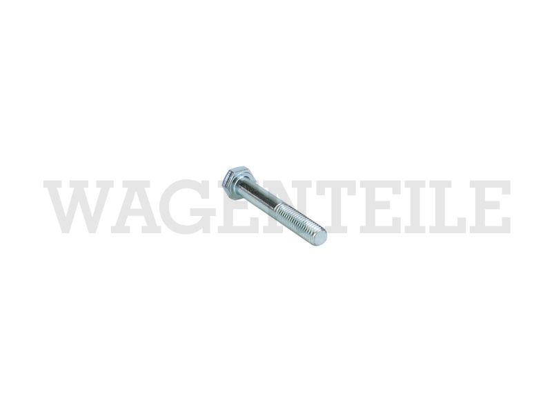 Sechskantschraube M8x55 (10.9)