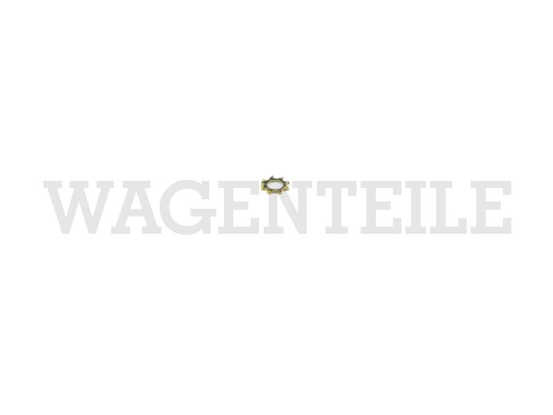 Zahnscheibe A4,3