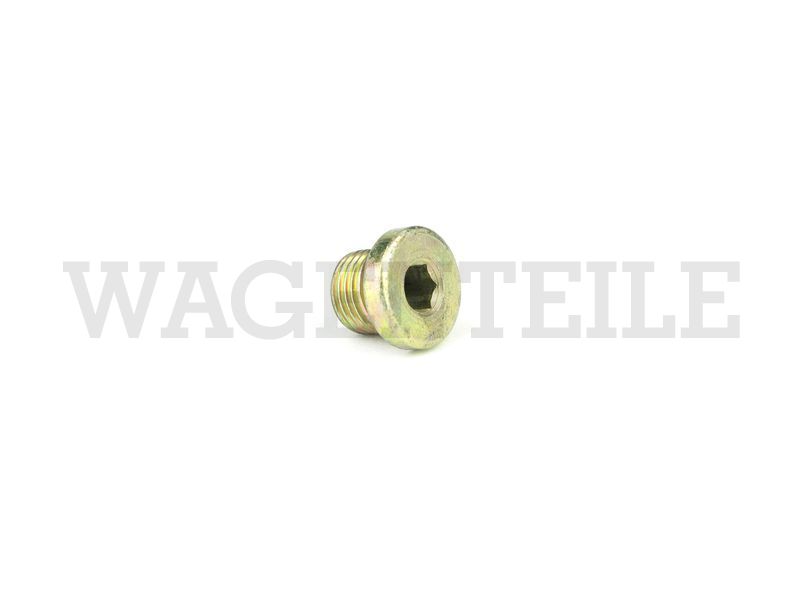 Verschlussschraube M10x1x8, Innensechskant